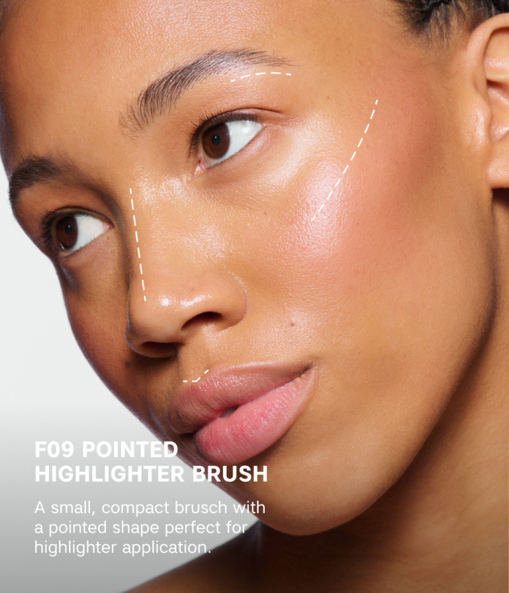 POINTED HIGHLIGHTER BRUSH F09